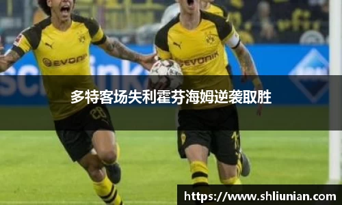 雷火电竞亚洲官网