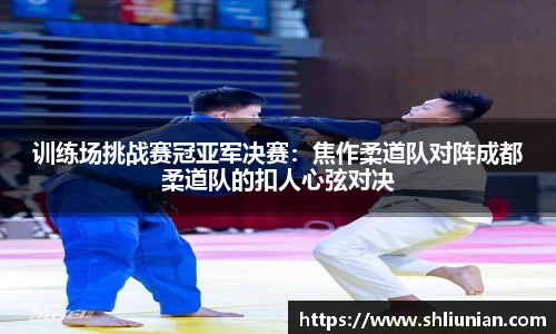训练场挑战赛冠亚军决赛：焦作柔道队对阵成都柔道队的扣人心弦对决